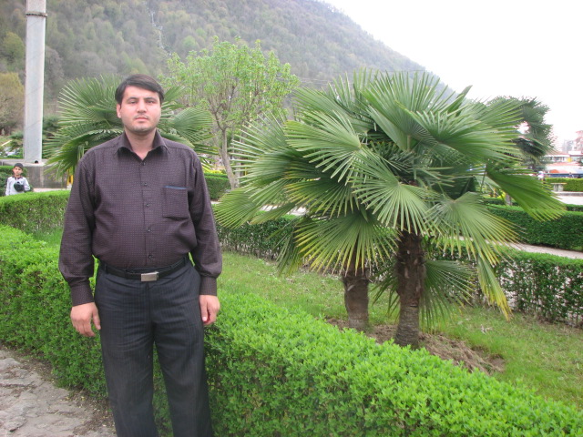 محمد میرزائی