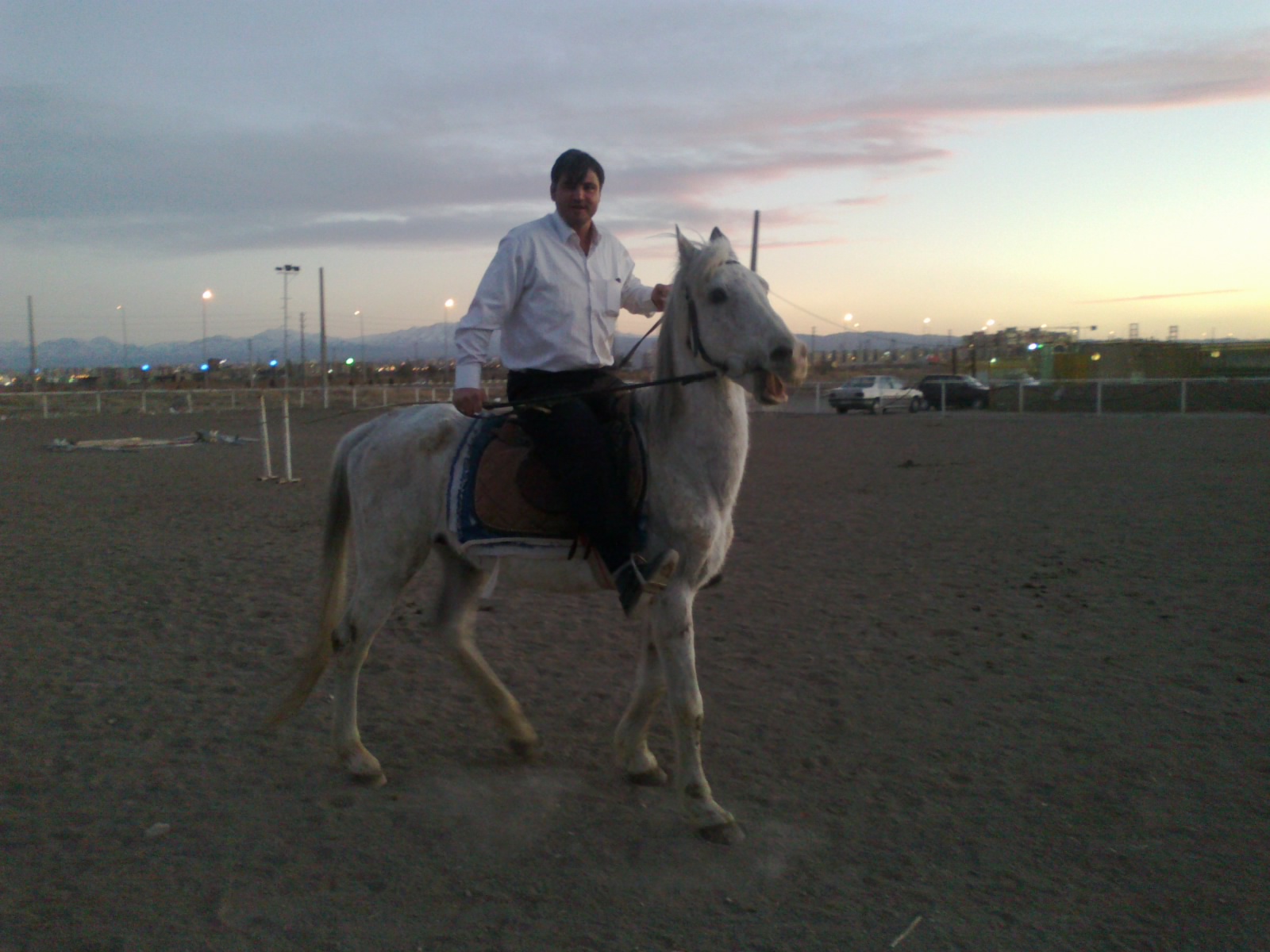 محمد میرزایی
